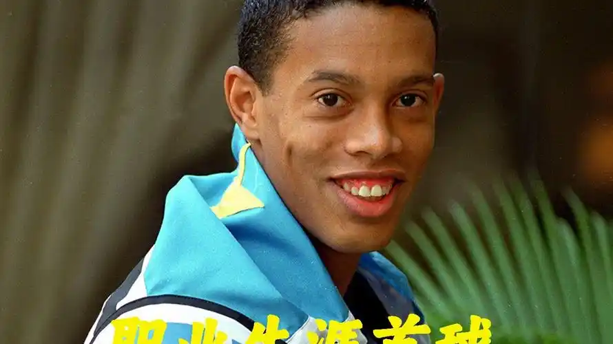引了众多世